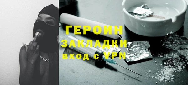 прущие грибы Инта
