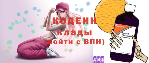 сатива Инсар