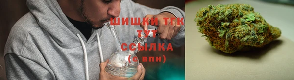 прущие грибы Инта