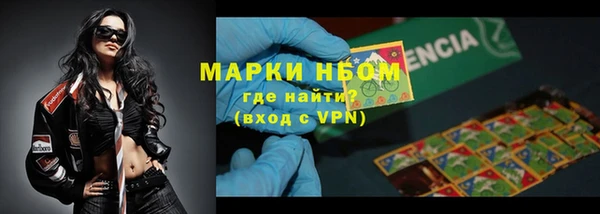 сатива Инсар