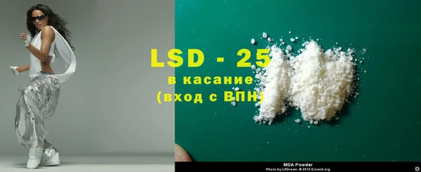 прущие грибы Инта