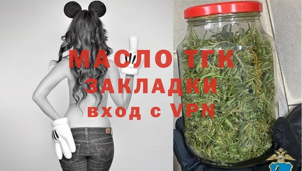 сатива Инсар