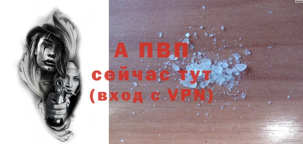 ГАЛЛЮЦИНОГЕННЫЕ ГРИБЫ Елабуга